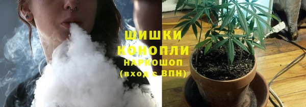 Альфа ПВП Вязьма