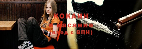 mdpv Вяземский