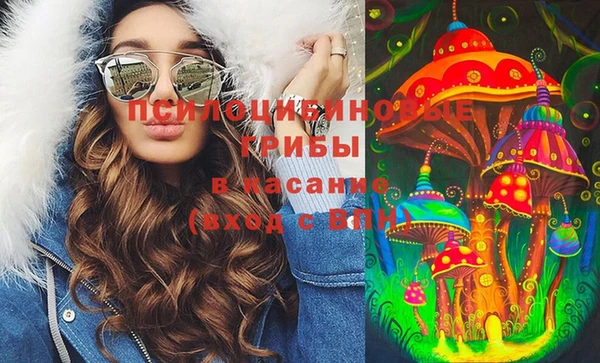 Альфа ПВП Вязьма