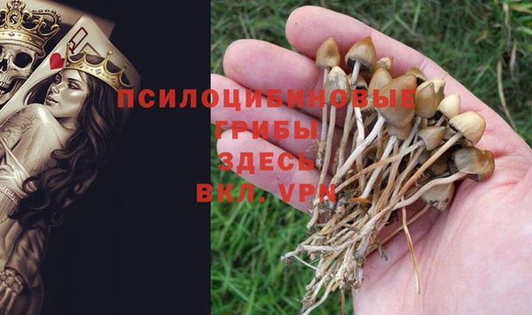 круглые Вязники