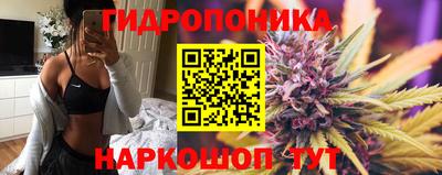 гидропоника Балахна