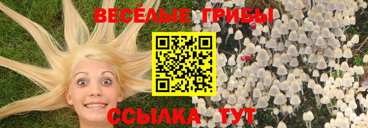 Псилоцибиновые грибы Cubensis Донецк