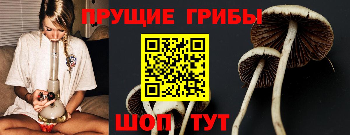 Псилоцибиновые грибы мицелий  Вход с VPN  Донецк 